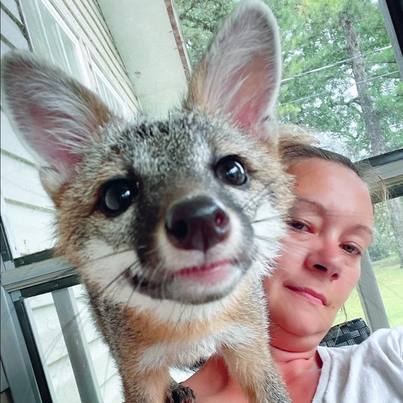 Meet your Posher, Donna - Picture 5 of 11